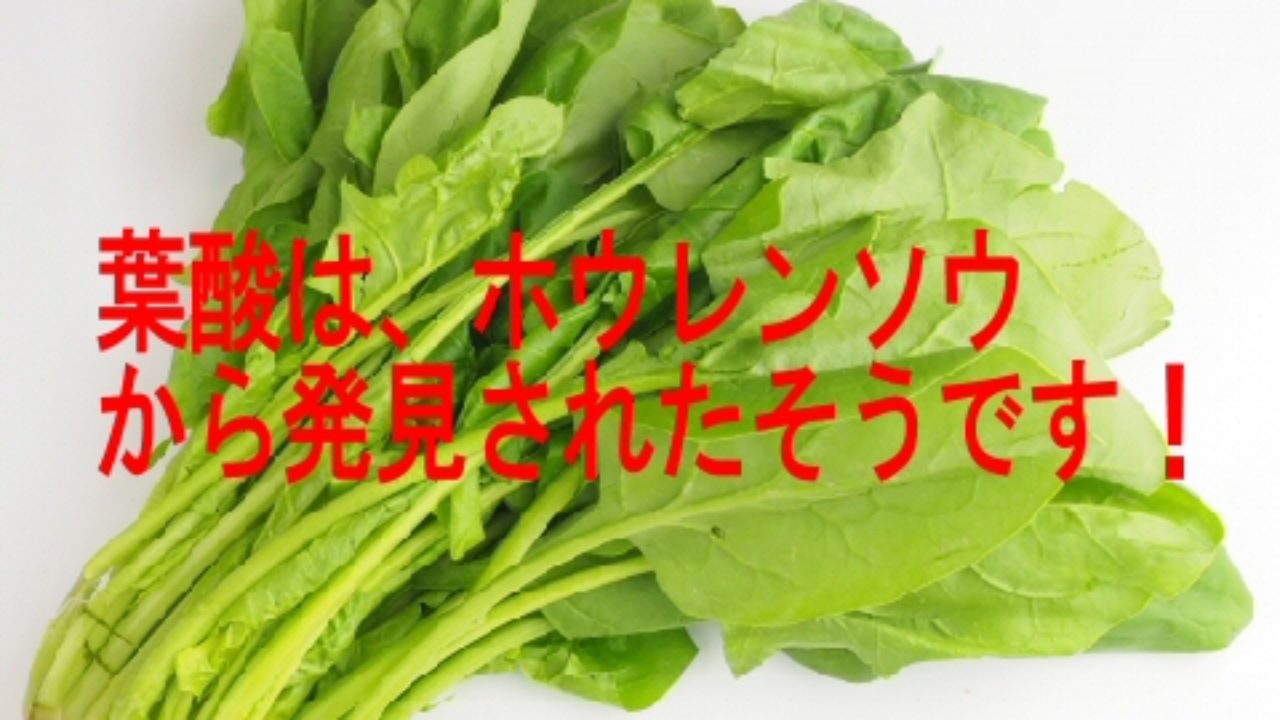 葉酸サプリを飲まなかった方の体験談や妊活中妊娠中の必要量 子育て19 子育て塾