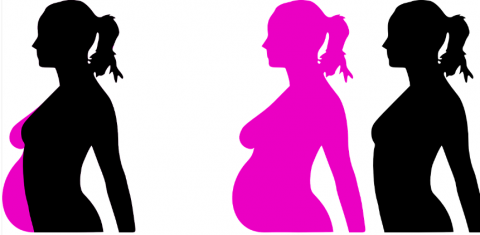 女性妊婦妊娠イラスト