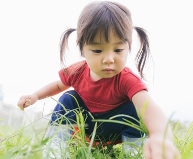 オムツ外れが楽になる！幼児教材で楽しくトイレトレーニング